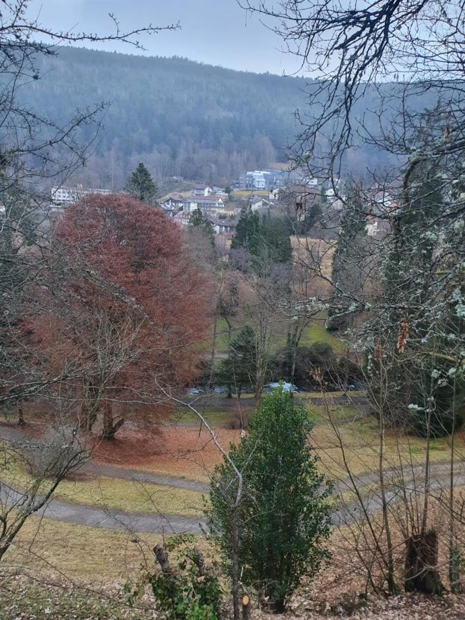 Ferienwohnung Nina Direkt In Zentrum Bad Wildbad Ngoại thất bức ảnh